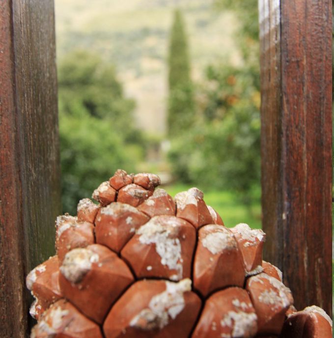 square_fratus_giardinifilosofici_ninfa_9