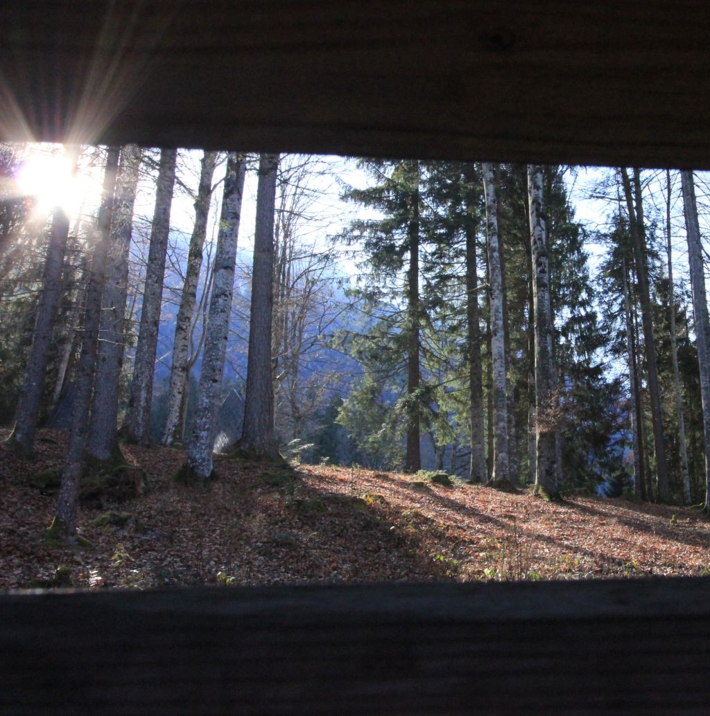 I giardini filosofici – Arte Sella&nbsp;#2