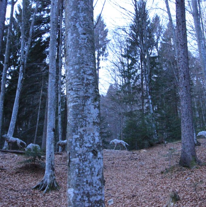 square_fratus_giardinifilosofici_artesella_ilupi_1