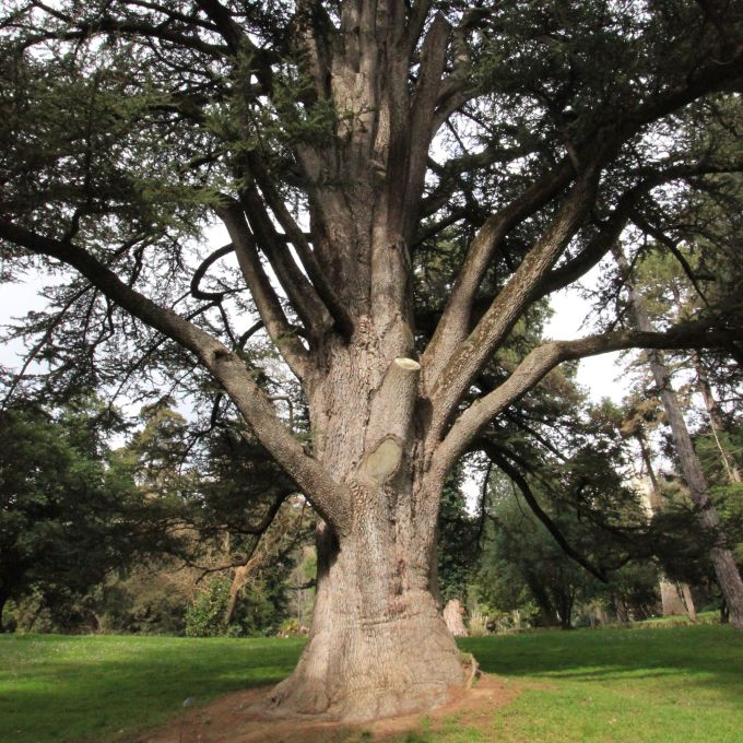 square_fratus_giardinifilosofici_caserta_14