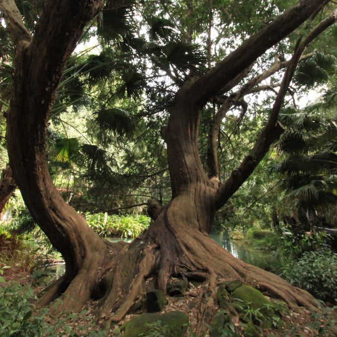 square_fratus_giardinifilosofici_caserta_17