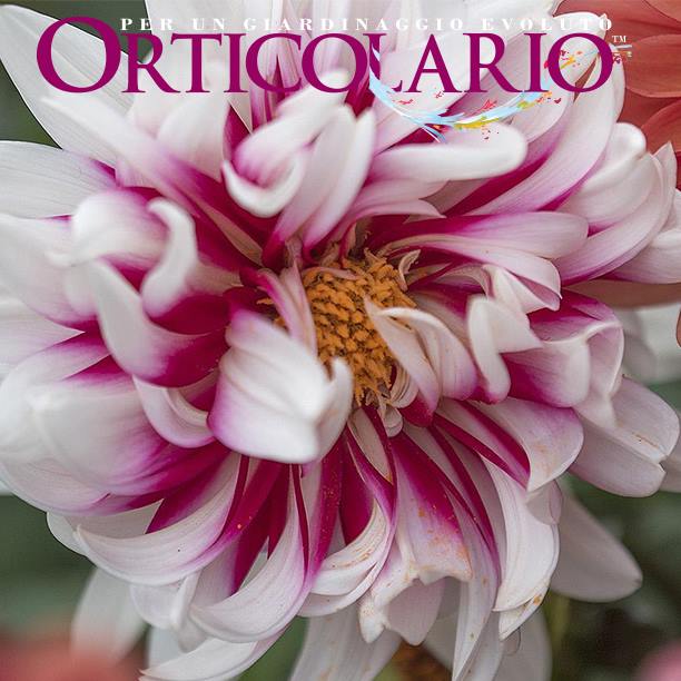 Fratus a Orticolario&nbsp;2016