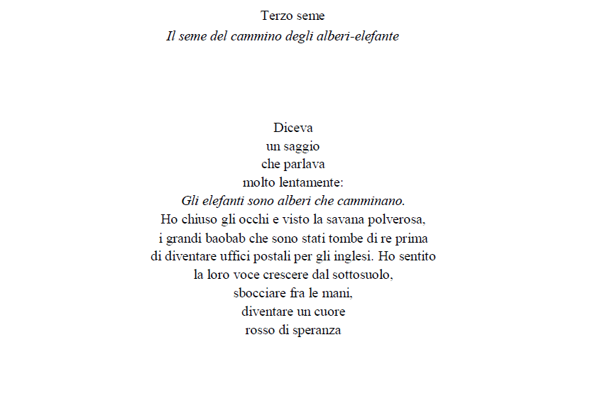 Terzo seme. Il seme del cammino degli alberi&nbsp;elefante