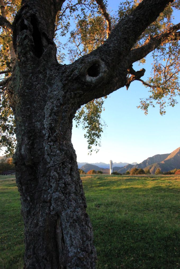 betulla_fratus_valsassina-redux