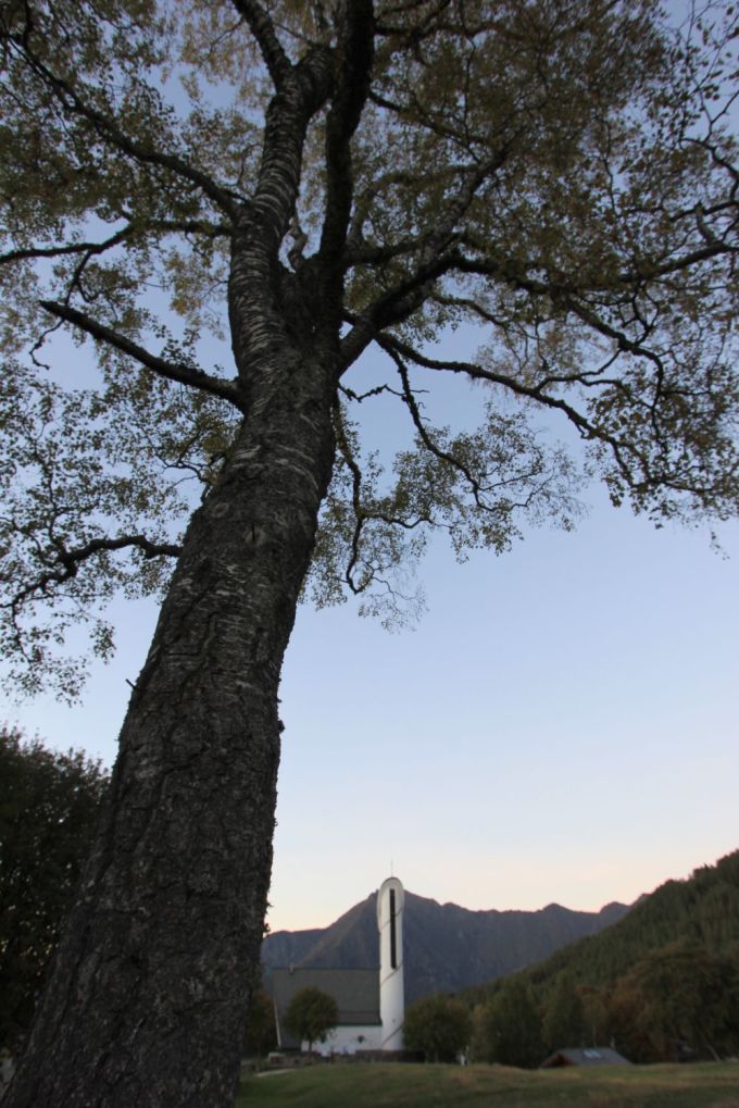 betulla_fratus_valsassina-redux2