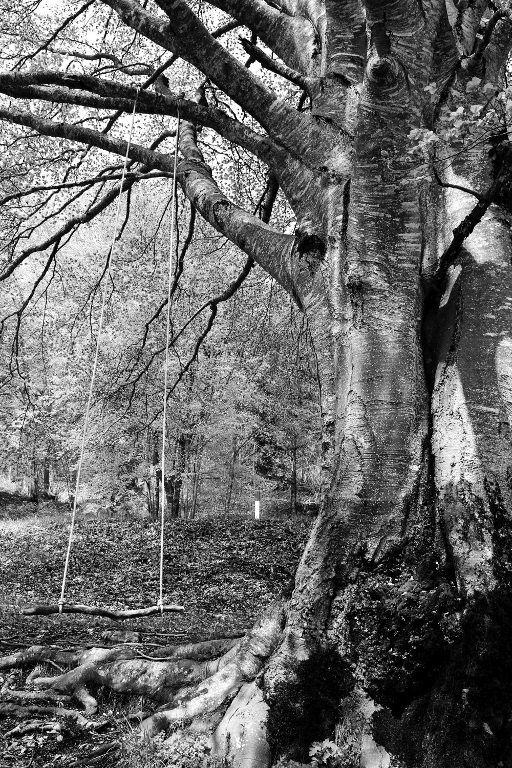 In attesa del&nbsp;gioco