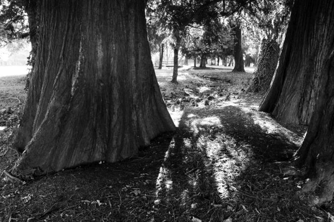 fratus_monza_bn_a_redux