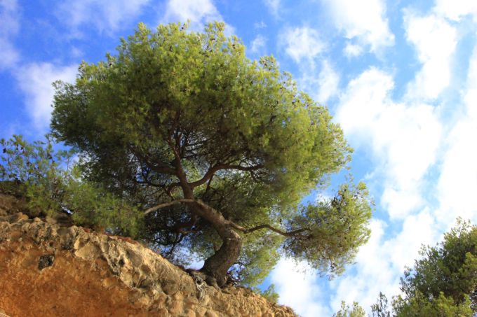 fratus_pinotuffatore_armaditaggia_2016_b_lastampa