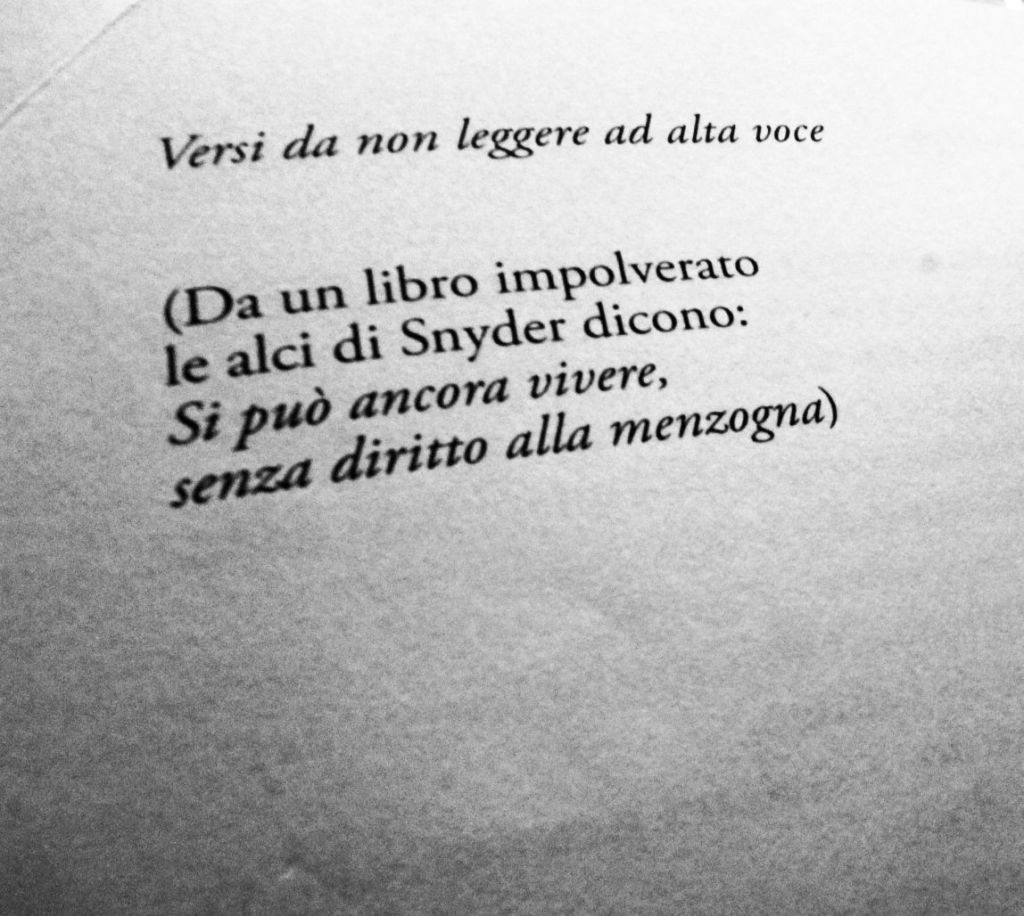 Tiziano Fratus alle Struga Poetry&nbsp;Evenings