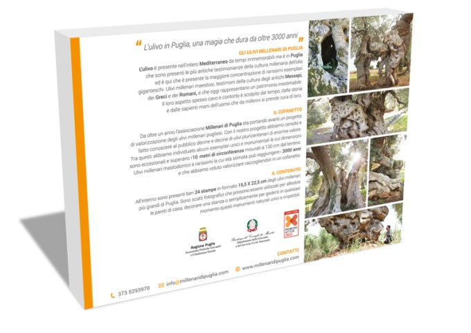 millenaridipuglia_b