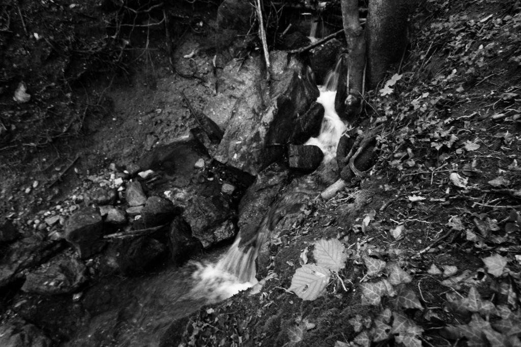 La cura del mondo è la cura di ogni&nbsp;silenzio