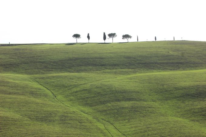 valdorcia_fratus_b_redux