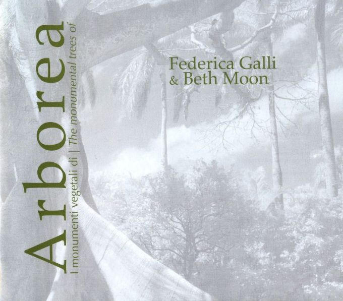 arborea_bethmoonfedericagalli_2016