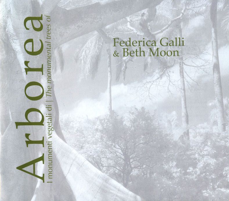 °Arborea: i monumenti vegetali di Beth Moon e Federica Galli° – Il catalogo della&nbsp;mostra