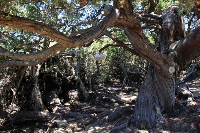 casadelpoeta_fratus_sardegna_redux