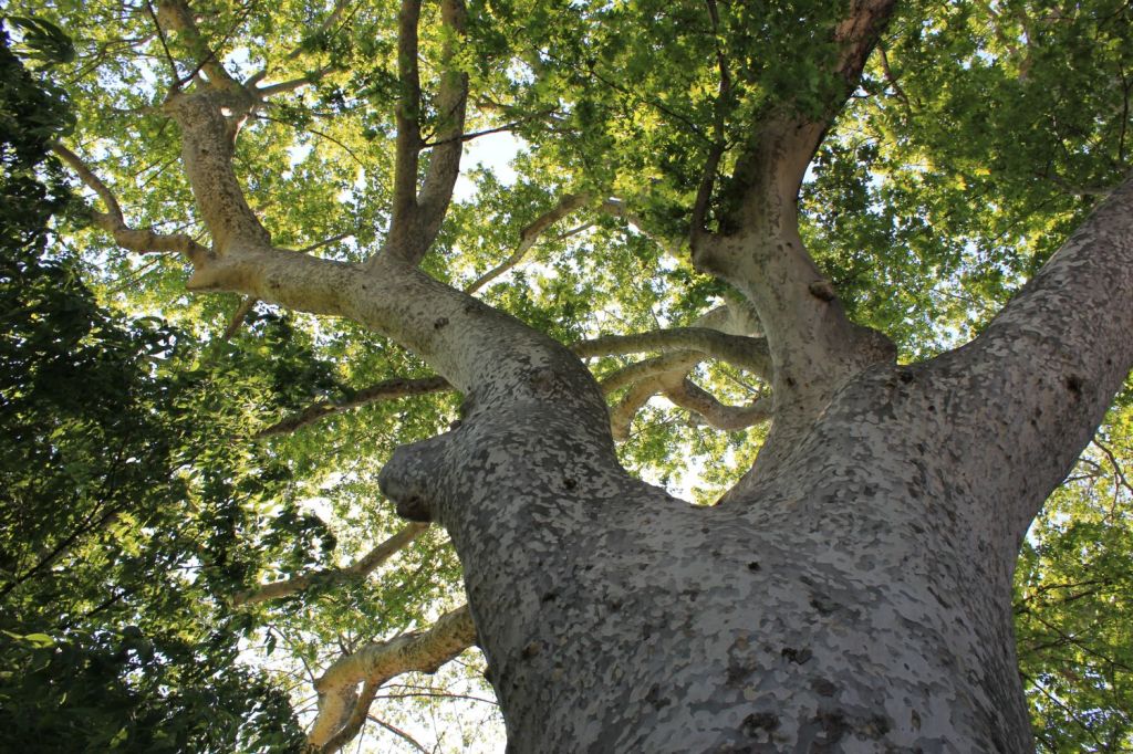 Sabato convegno al Lago Salso di&nbsp;Manfredonia