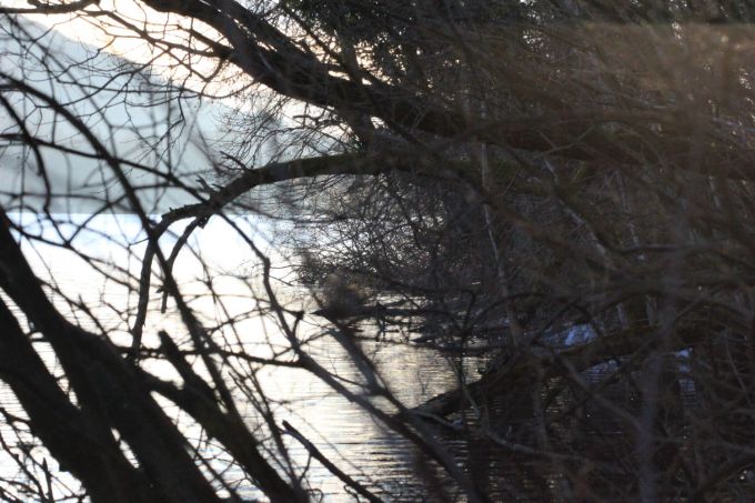 lac_fratus_2017_alba_2_redux