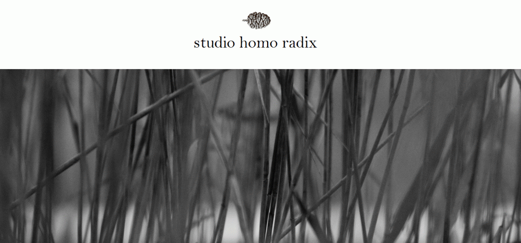 Inedito. Canto miniato dei semi e delle&nbsp;foglie