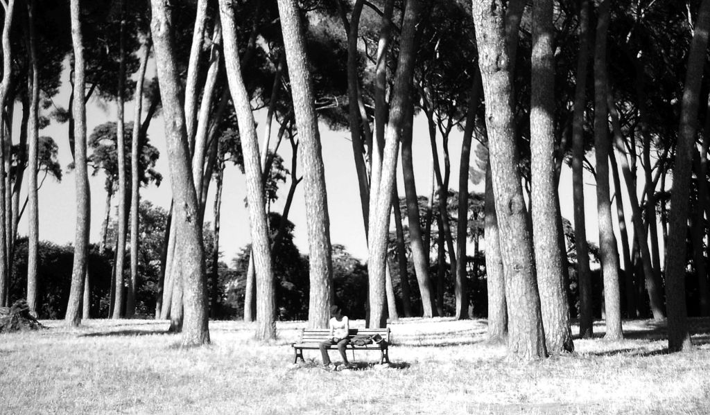 Il lettore – Uno scatto nel parco di Villa Doria&nbsp;Pamphilj