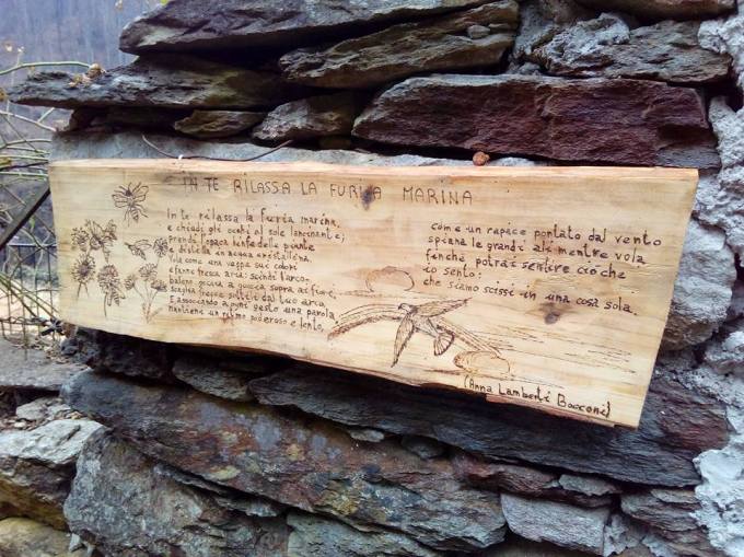 16864196_438881243115831_5516473062656829702_n