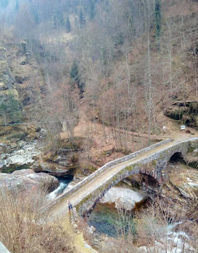 17021874_438895213114434_51896824732250396_n