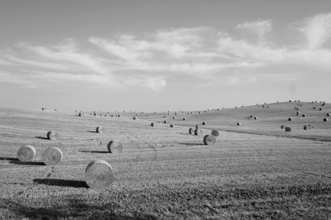 fratus_dismisurasenese_1_bn_redux