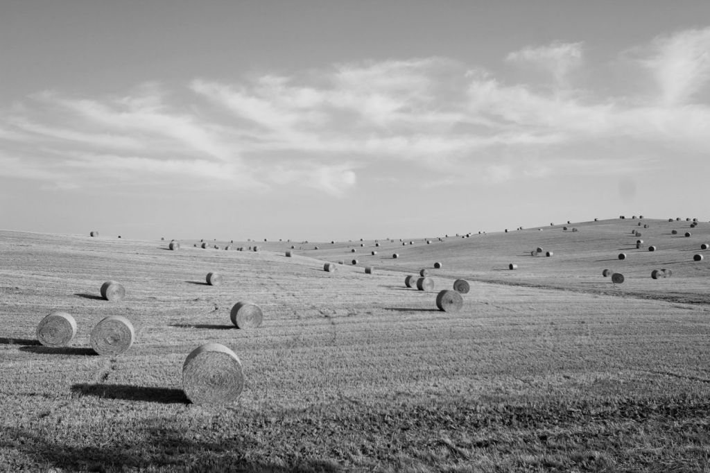 Poesia – Di sostanza&nbsp;acerba