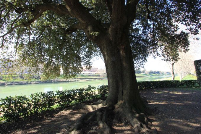 fratus_lecciofirenze_parcodellecascine_b_lastampa