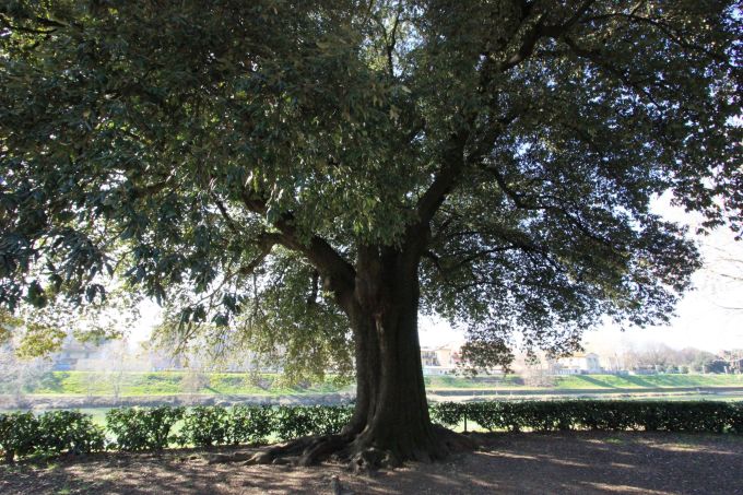 fratus_lecciofirenze_parcodellecascine_c_lastampa