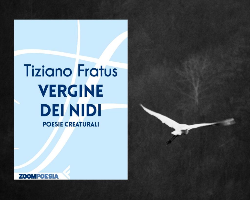 Vergine dei nidi. Le nuove poesie di Tiziano&nbsp;Fratus
