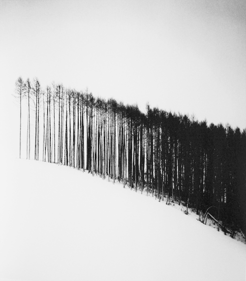 La poesia è un lungo&nbsp;cammino