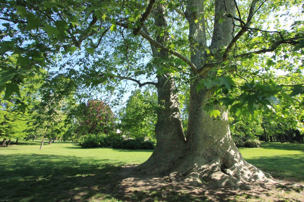 I vulcani di Villa&nbsp;Litta