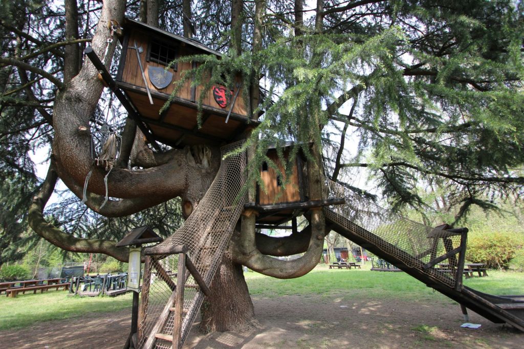 Il castello medioevale sul&nbsp;cedro