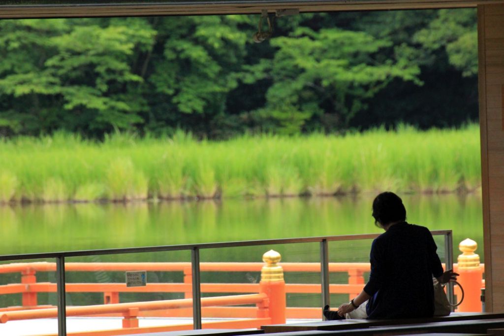 Due notizie colme di&nbsp;radici