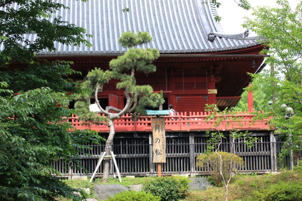 Natura, poesia e&nbsp;meditazione