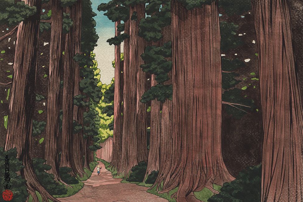 Dendrosofie in Giappone