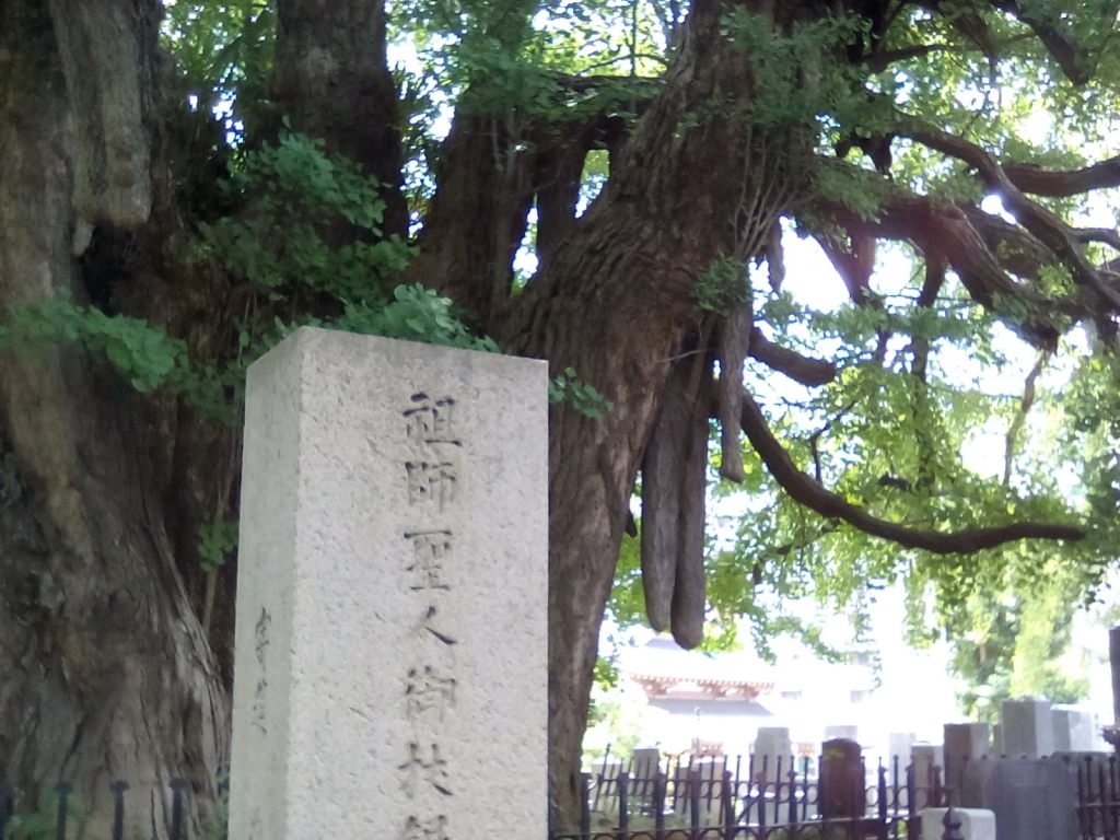 Homo Radix Nipporum&nbsp;2