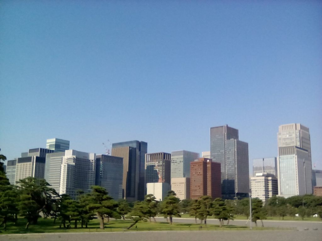 Homo Radix Nipporum&nbsp;8