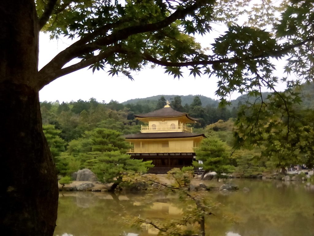 Homo Radix Nipporum&nbsp;9