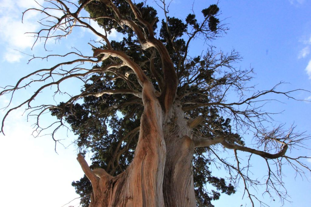 L’Eremita del Monte Grifone a&nbsp;Palermo