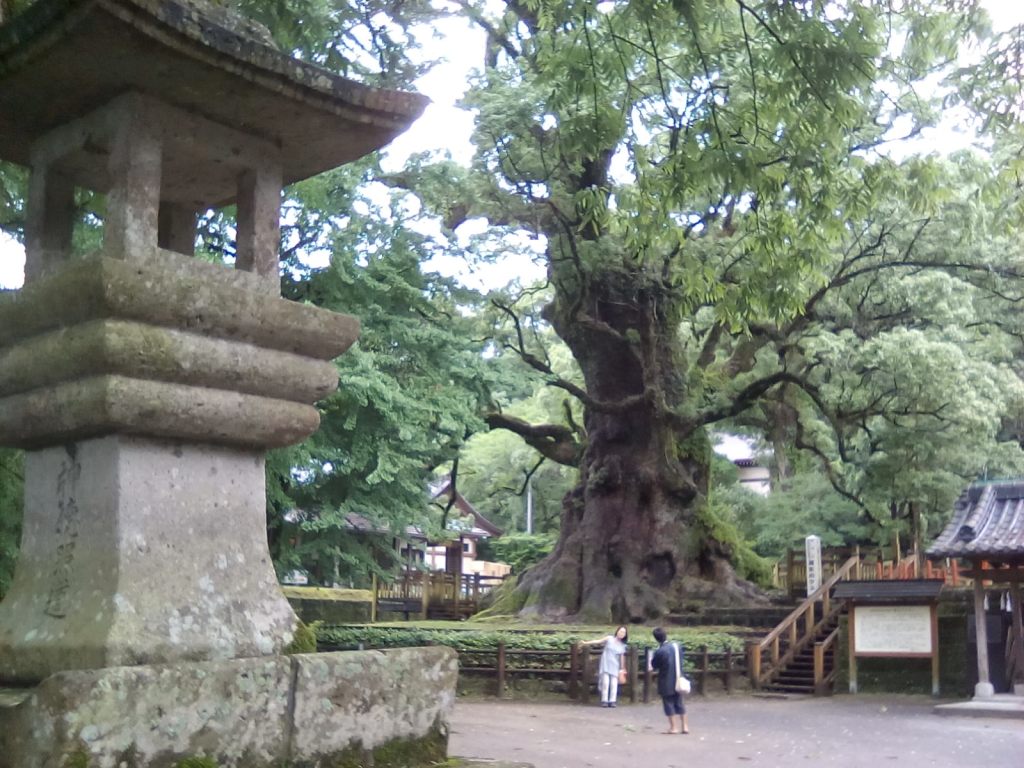 Homo Radix Nipporum&nbsp;finale