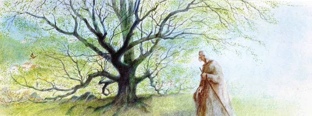 I 30 anni de °L’Uomo che piantava gli&nbsp;alberi°