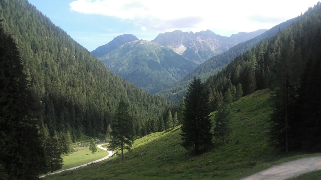 Ritorno fra i&nbsp;larici