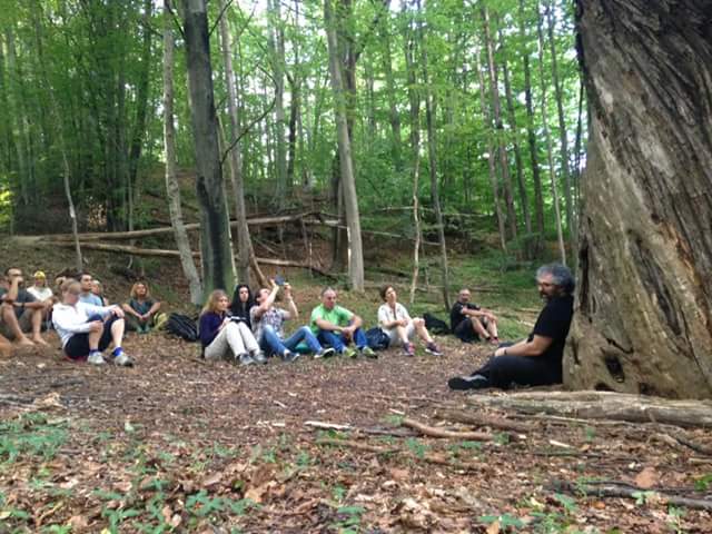 Meditare ai piedi dell’antico castagno di&nbsp;Posina