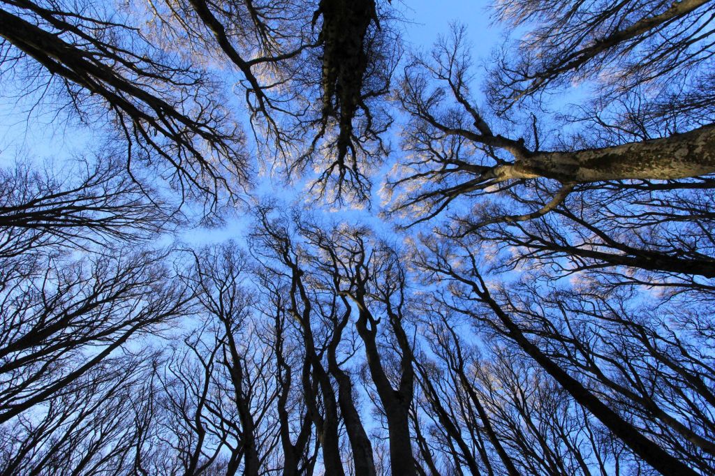 Pagina su “Il Manifesto”