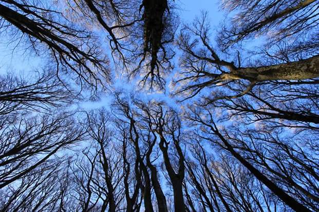 L’intima natura delle&nbsp;cose