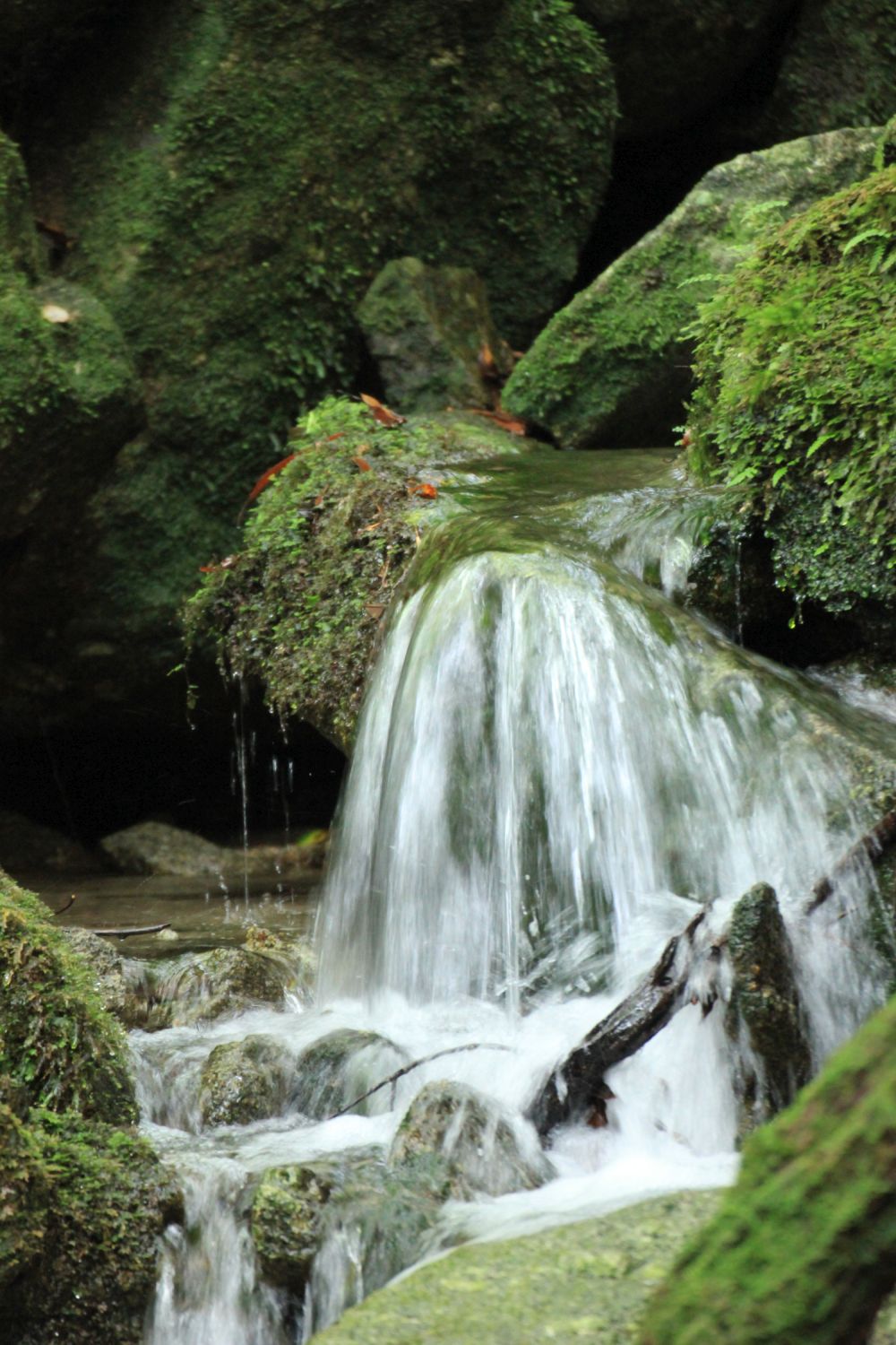 Le acque non conoscono&nbsp;destinazione