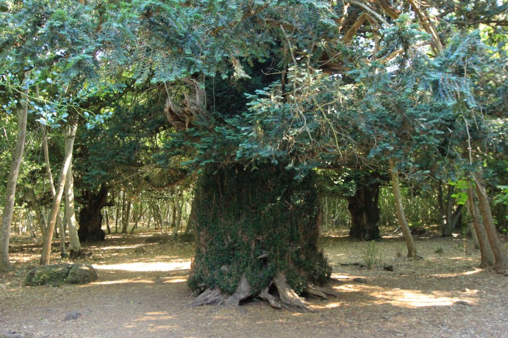 Il tasso di Bolotana oggi su La&nbsp;Stampa