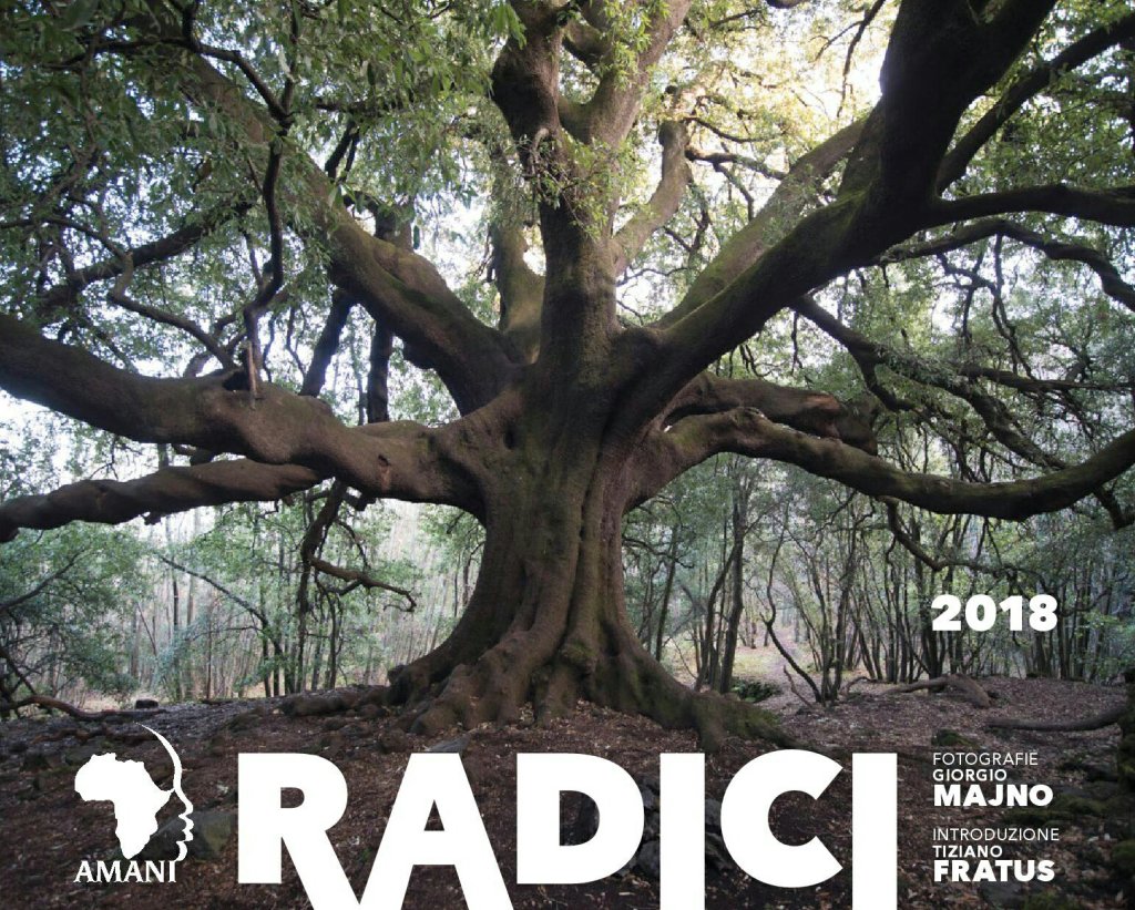 °Radici° – Calendario 2018 di Amani Ong&nbsp;Onlus