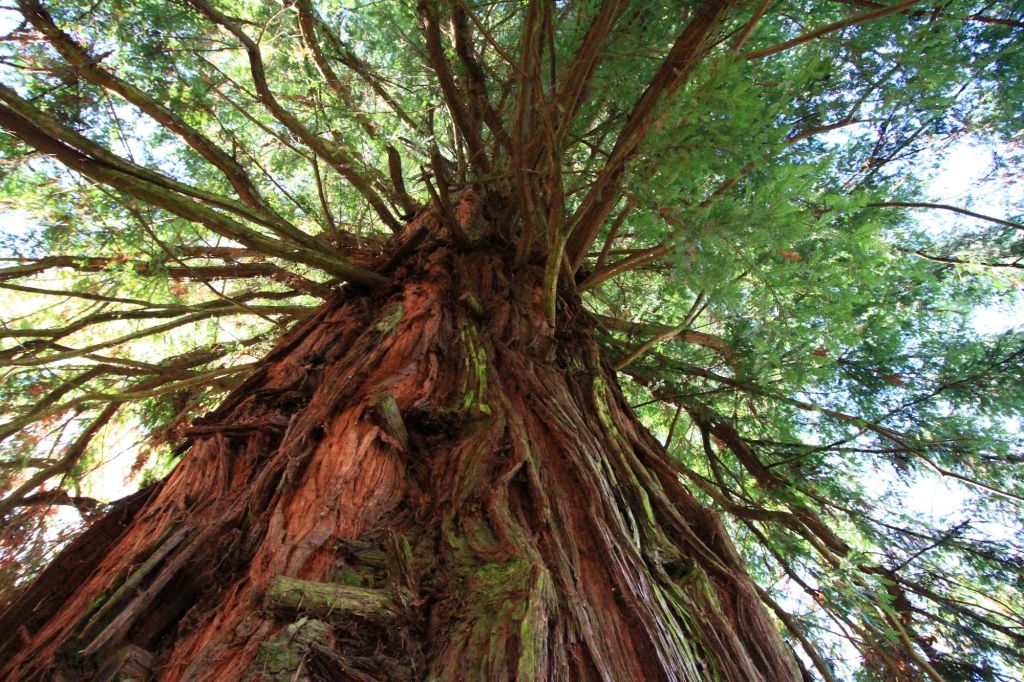 Debutto radiofonico per Nova Silva&nbsp;Philosophica